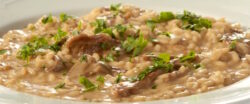 Risotto con setas porcini