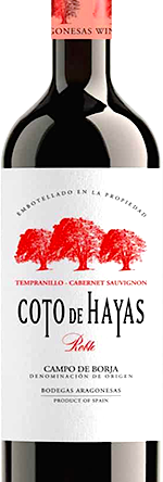 Carpediem - Coto de Hayas - Tempranillo