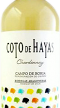 Carpediem - Coto de Hayas - Chardonnay