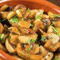 Setas porcini